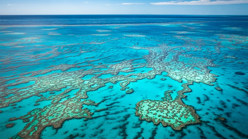 Limited Time Offer: 6-Day Best of Tropical North Queensland Tour with Spirit of Queensland Rail Journey & Great Barrier Reef