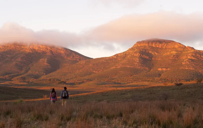 Flinders Ranges and Wilpena Pound Adventure with Daily Guided Hikes