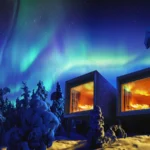 Gallery Thumbnail 0