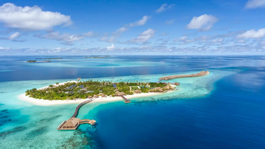 Untitled design (49)