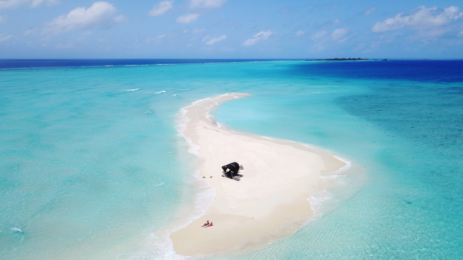 Untitled design (52)