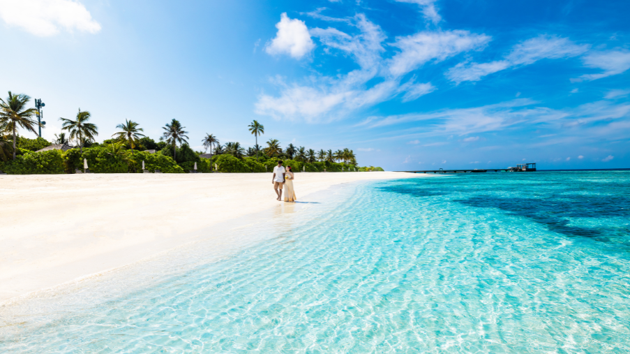 Untitled design (53)