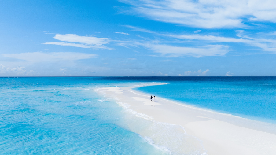 Untitled design (55)