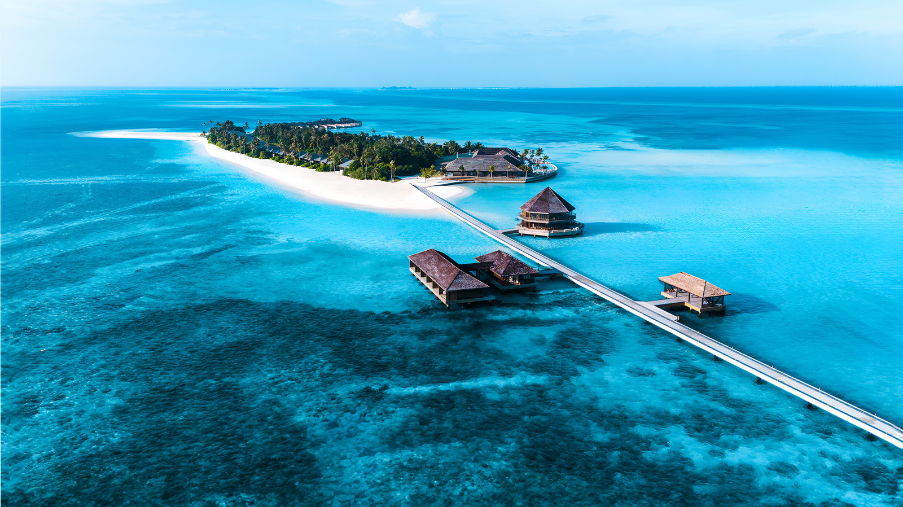 Untitled design (70)