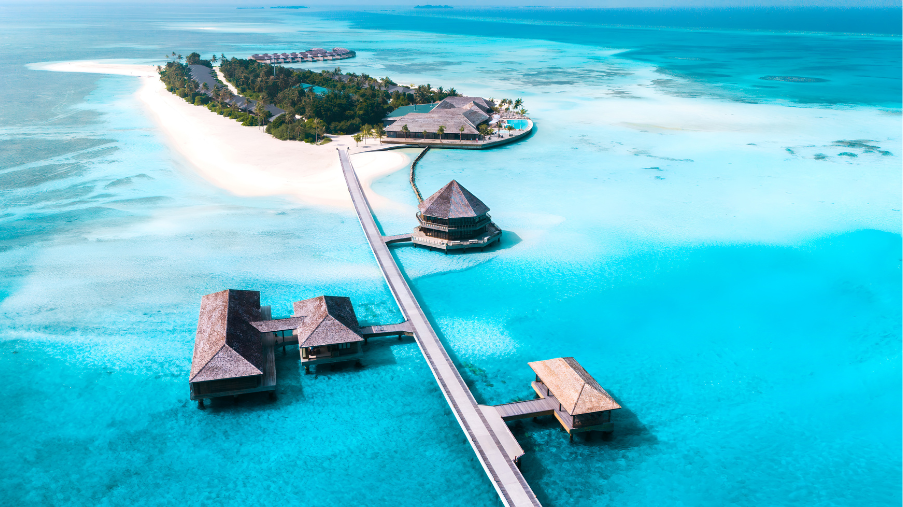 Untitled design (71)