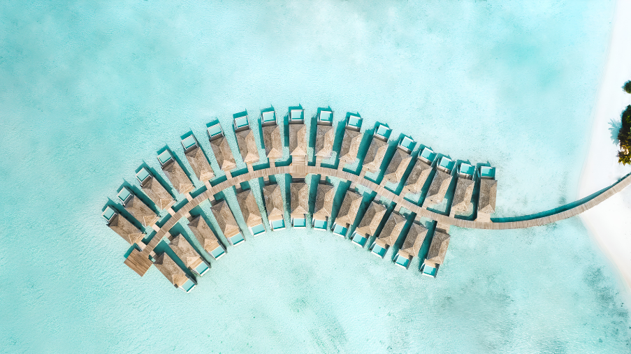 Untitled design (73)