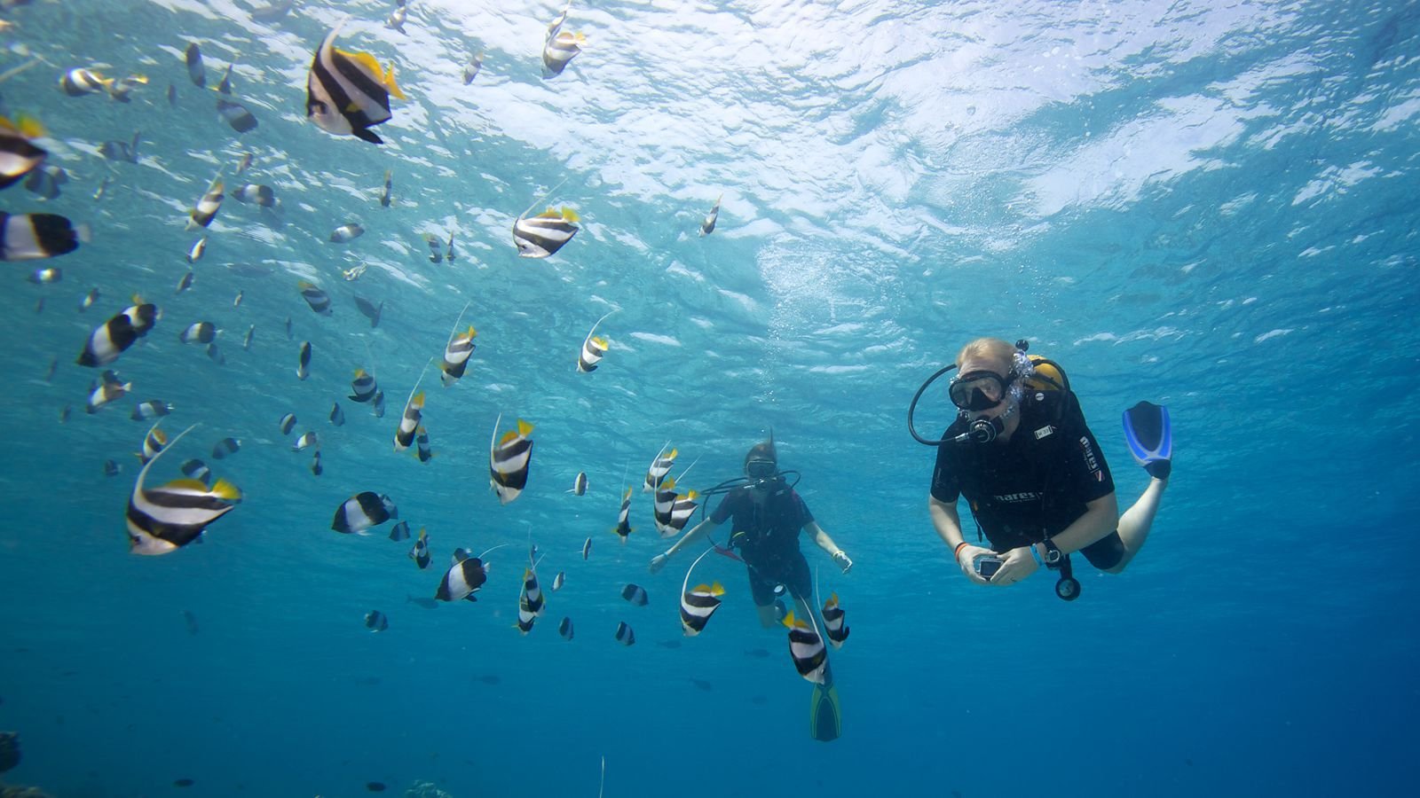 diving-maldives-hurawalhi-prodivers-1600x900