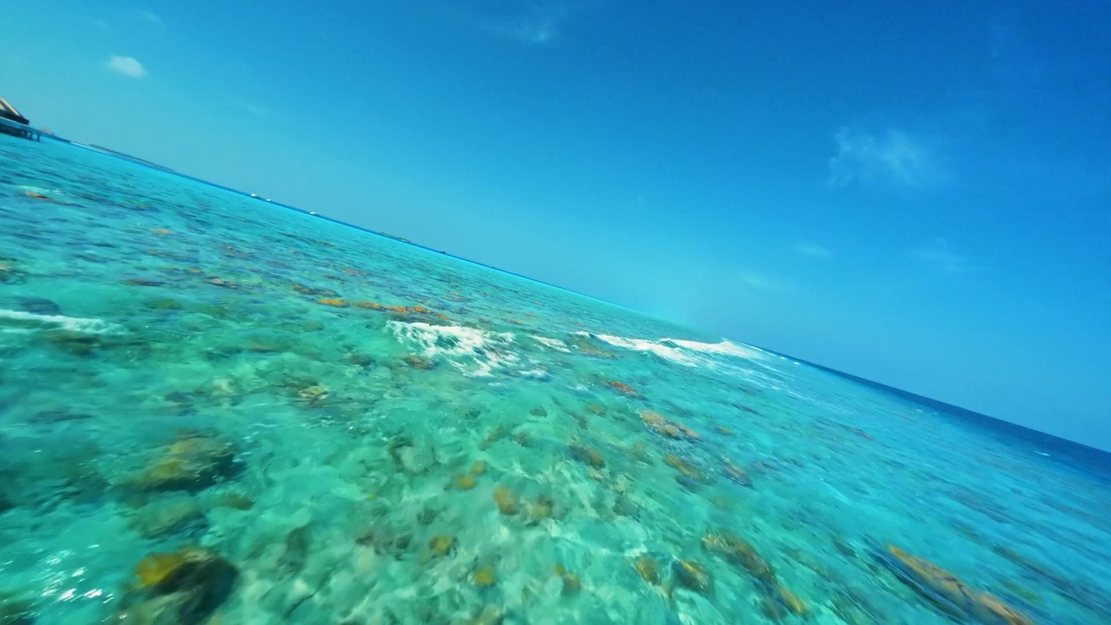 Underwater house reef with coral, Sun Siyam Vilu Reef, Dhaalu Atoll