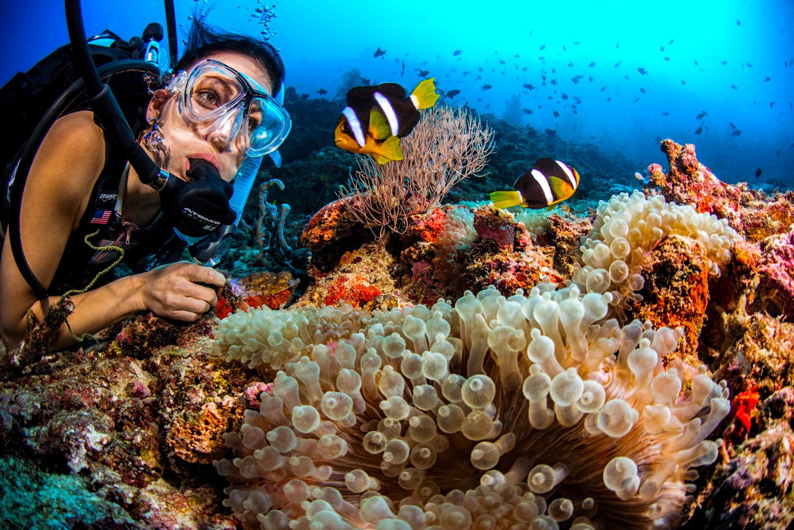 Diver among coral and reef fish, house reef, Dusit Thani Maldives