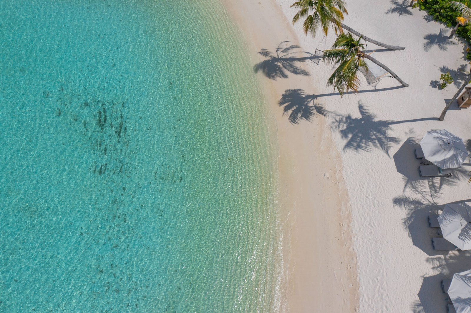 White-sand beach with palm trees and sun loungers at Kagi Maldives Resort & Spa