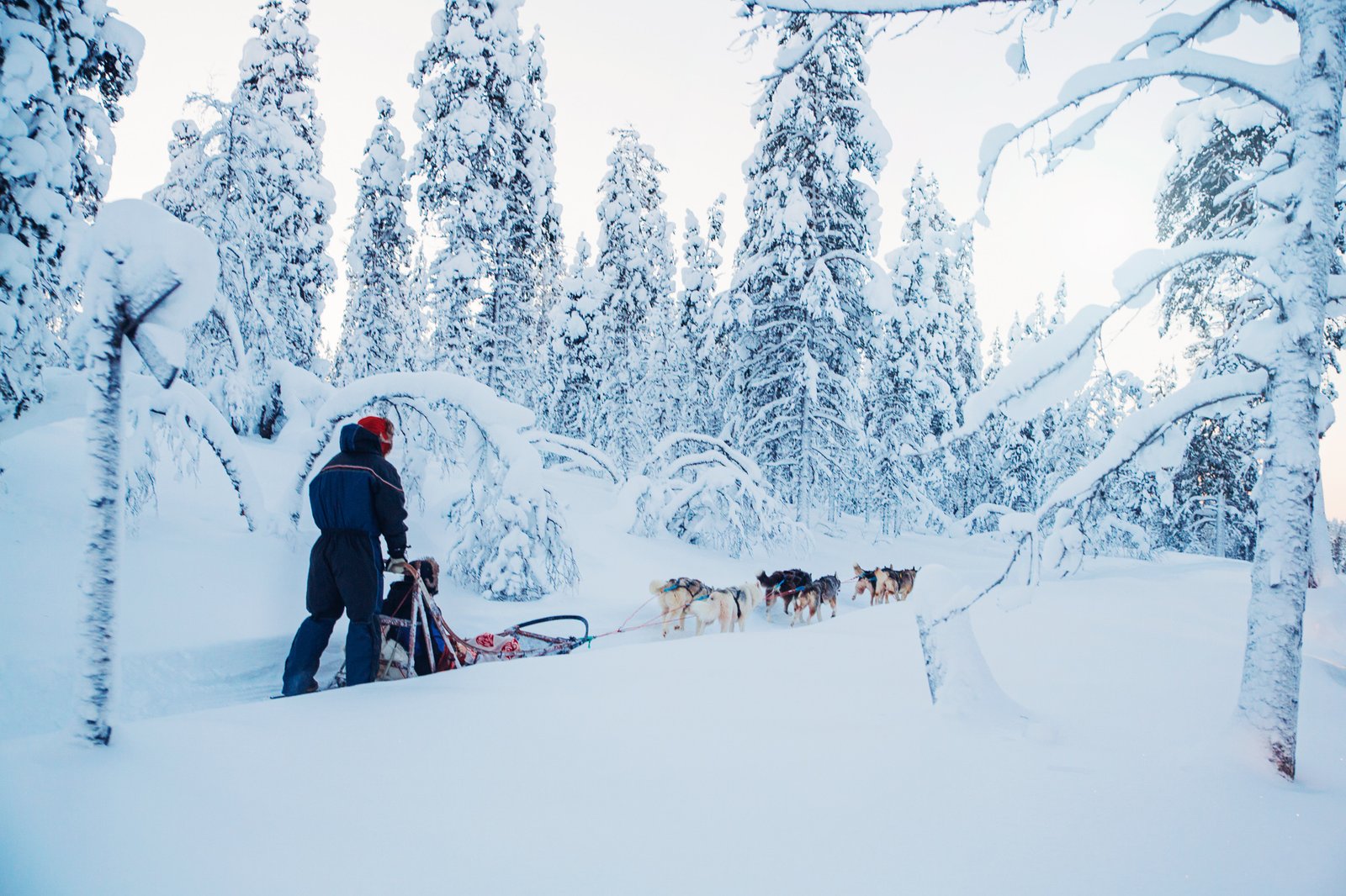 Husky safari at Kakslauttanen Arctic Resort