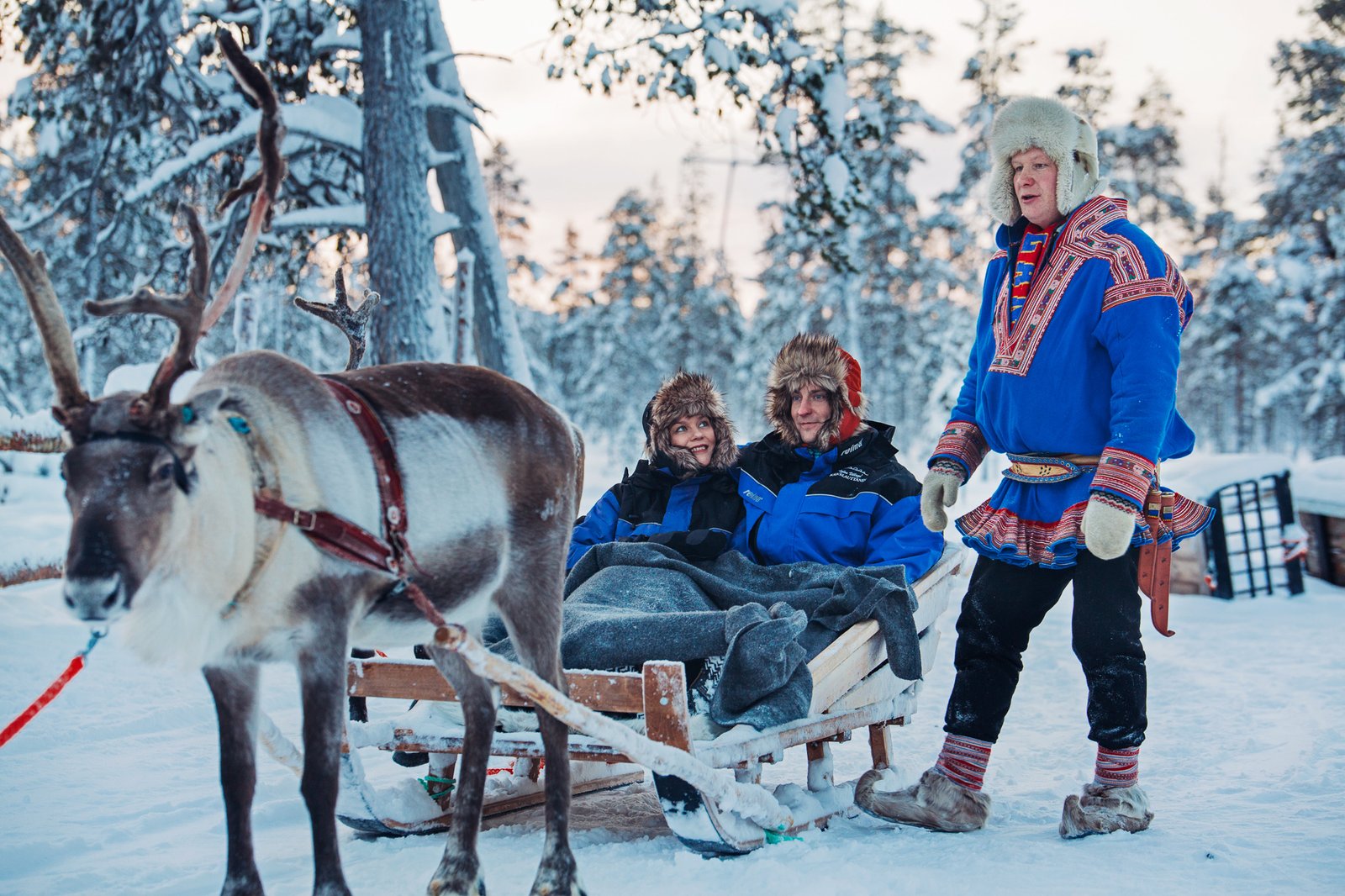 Reindeer sleigh safari at Kakslauttanen Arctic Resort