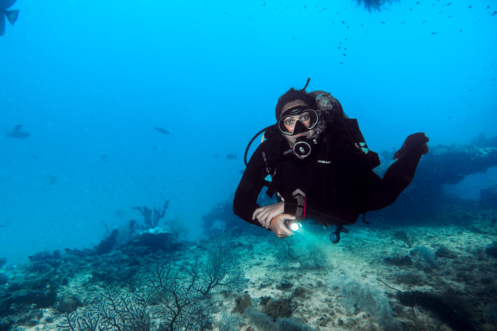Underwater reef life at Sun Siyam Iru Fushi, Noonu Atoll