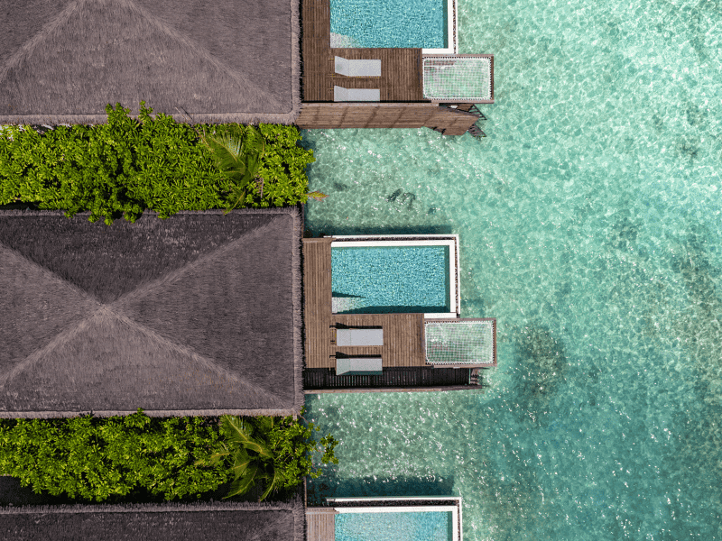 Untitled-design-5