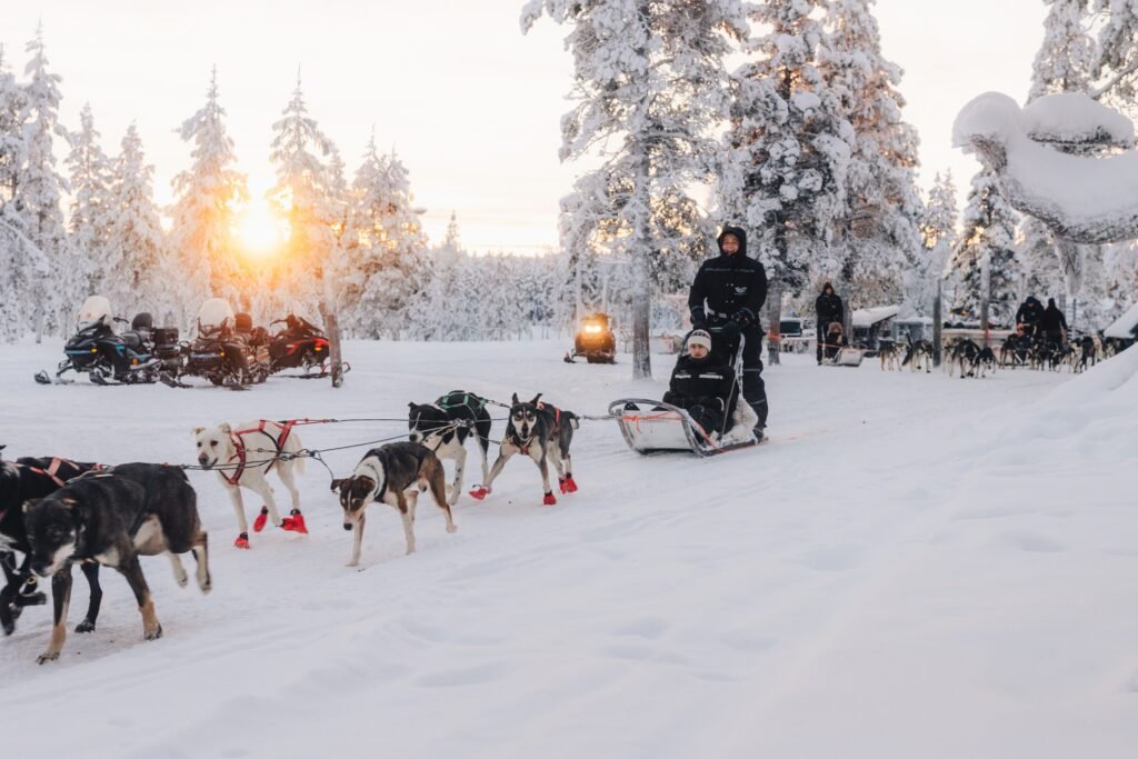 Husky safari, Northern Lights Village Saariselkä