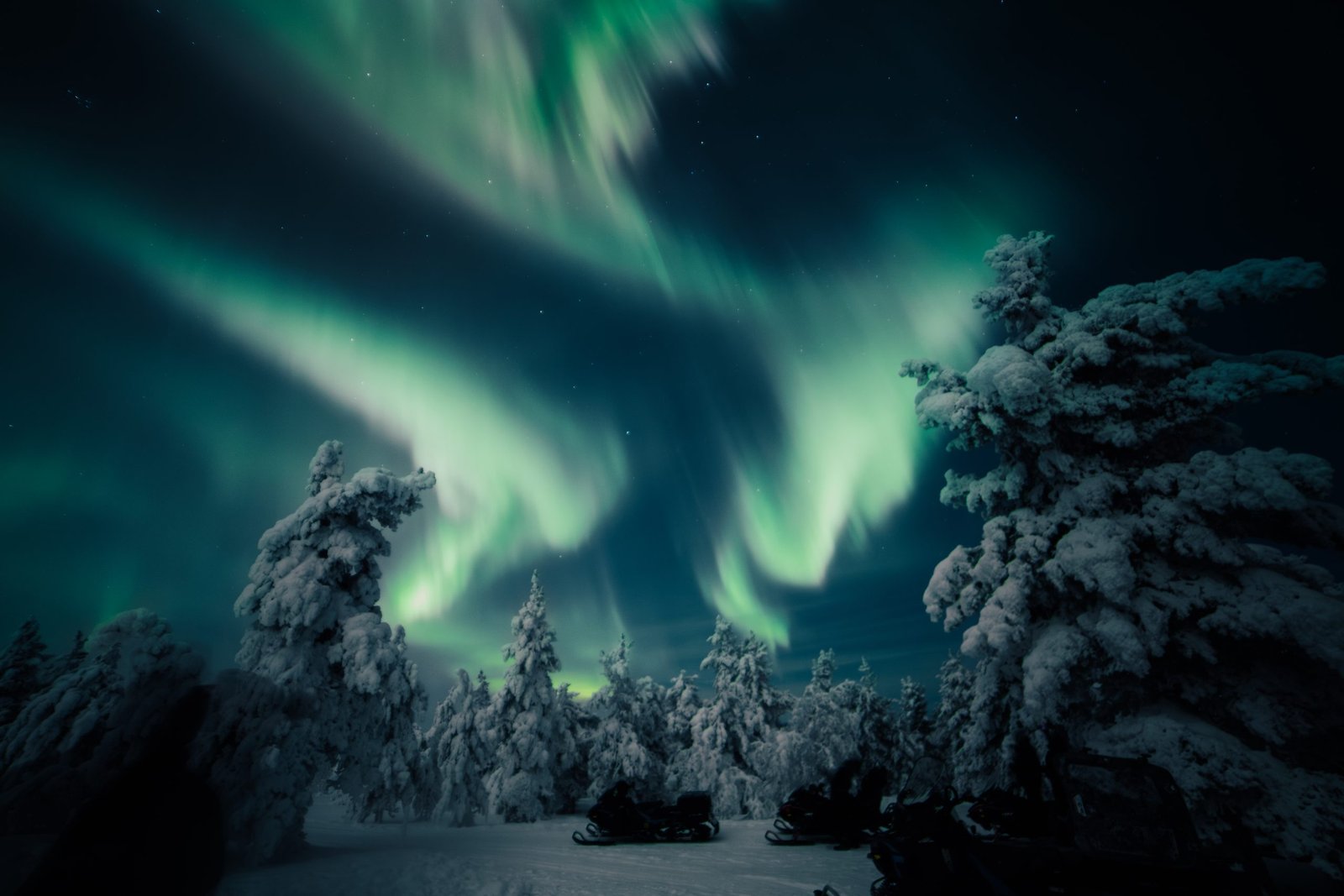 Aurora over snow-laden forest at Northern Lights Village Saariselkä, Finnish Lapland