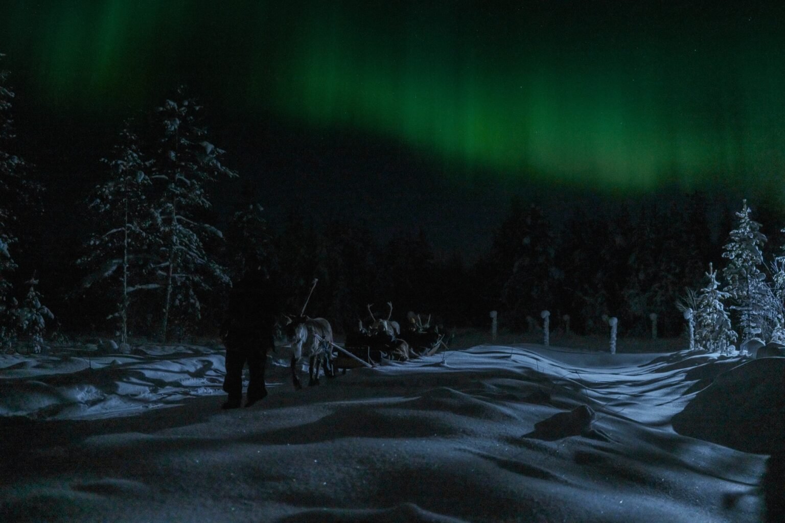 Northern Lights Evening Excursion at Santa Claus Holiday Village