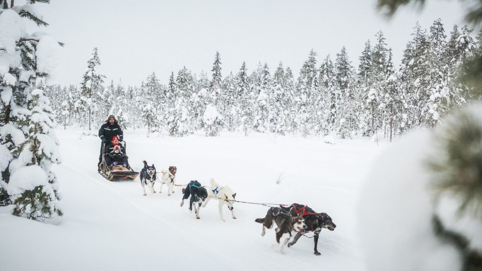 Husky sled tours at Santa Claus Holiday Village