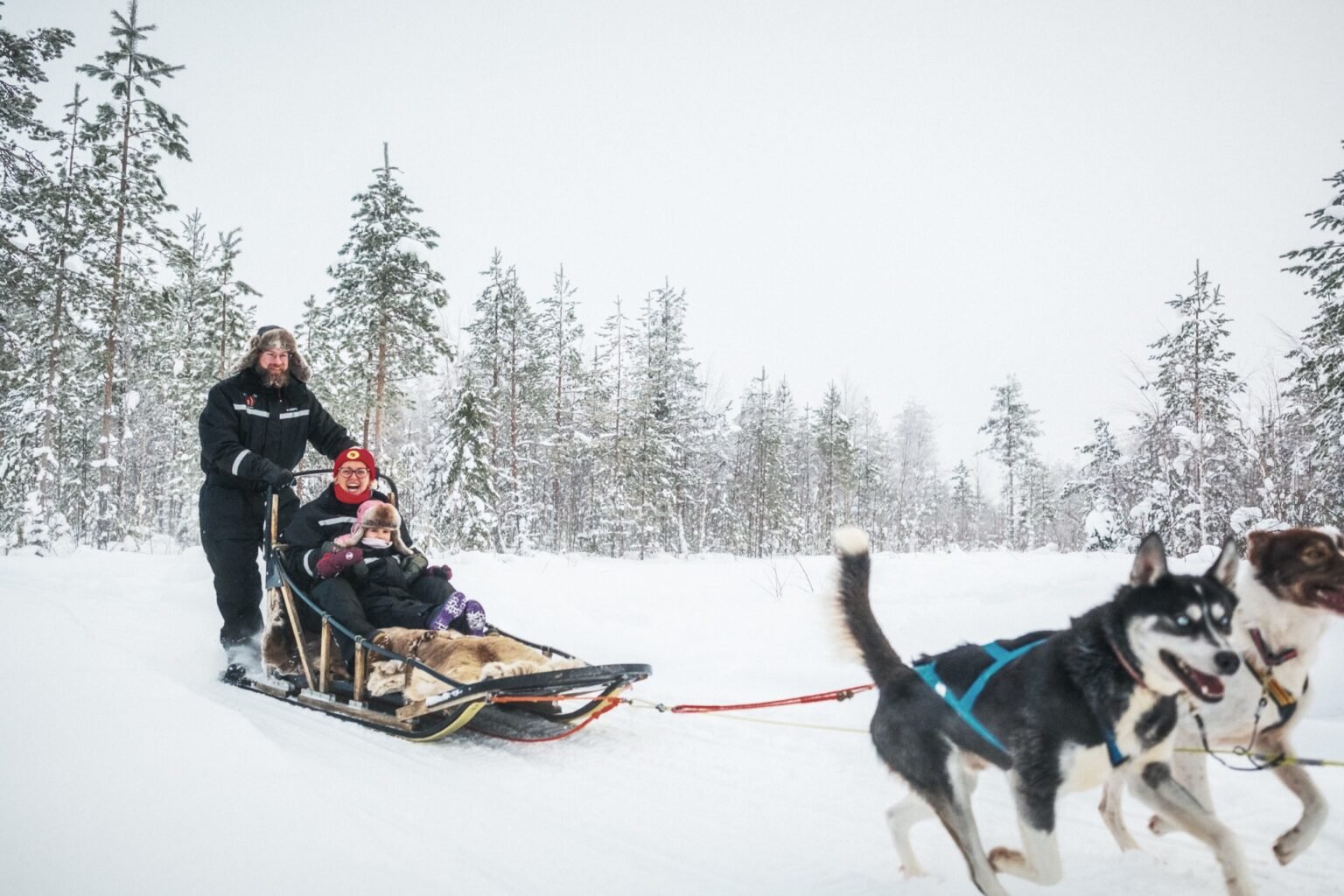 A husky safari at Santa Claus Holiday Village