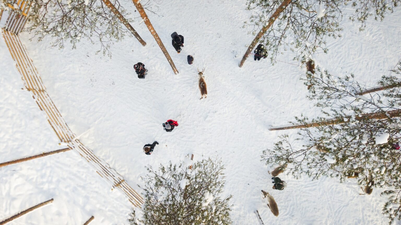 Reindeer Sleigh Ride at Santa Claus Holiday Village