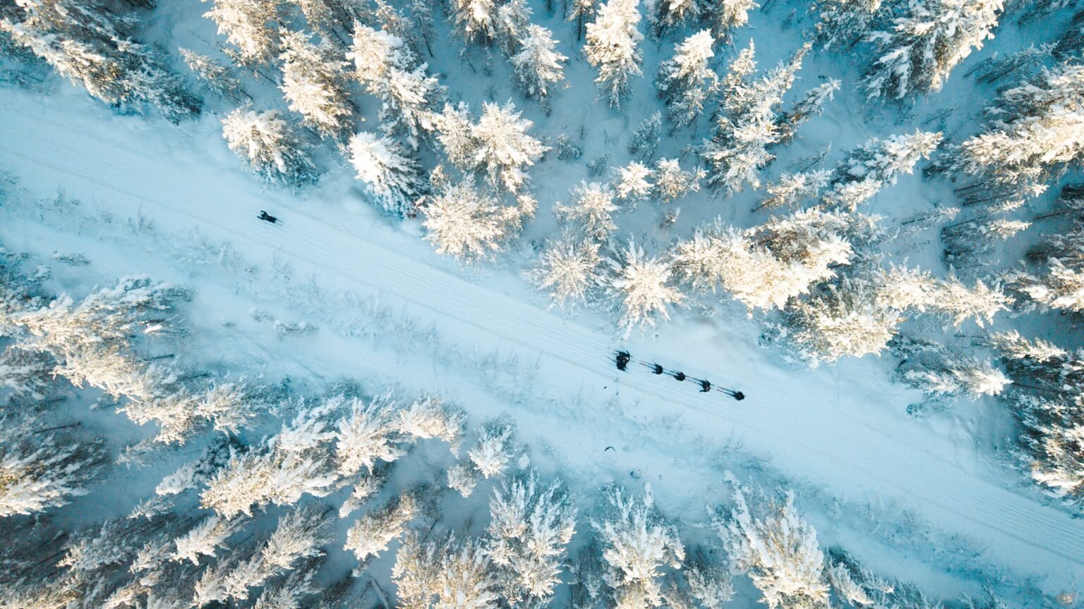 Cross-country skiing at Santa Claus Holiday Village