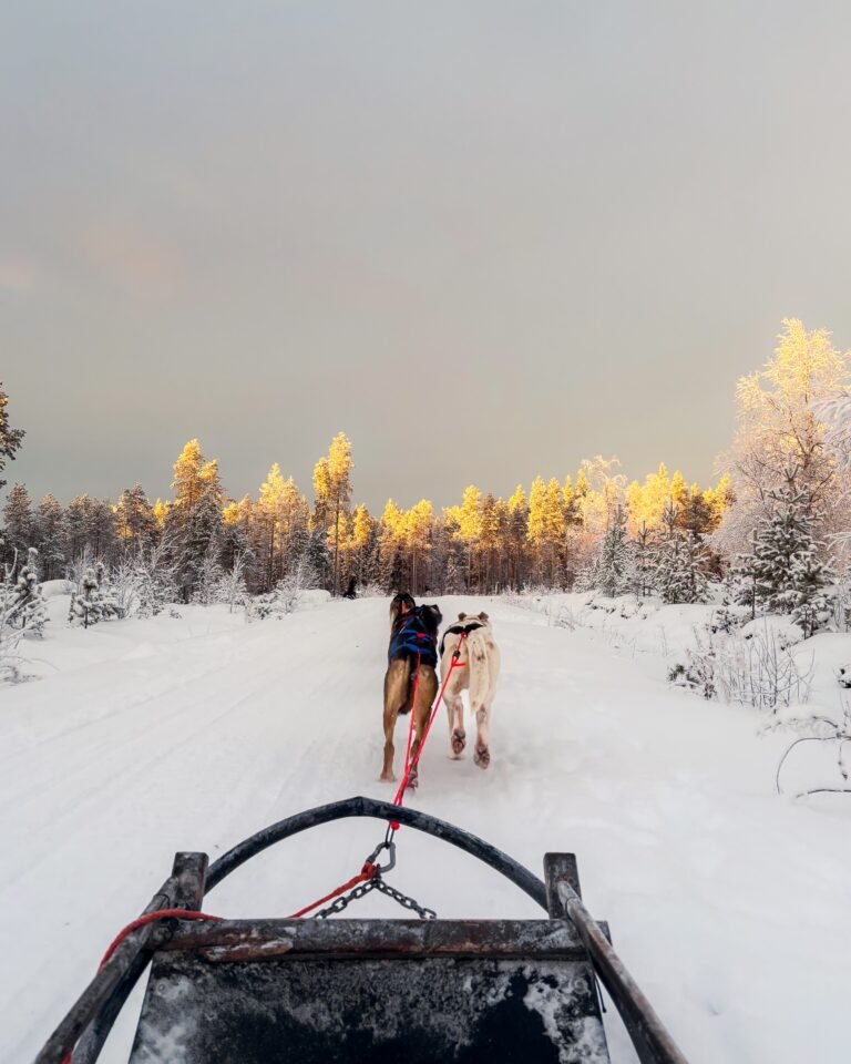 Lapland Icebreaker & Snow Castle Adventure