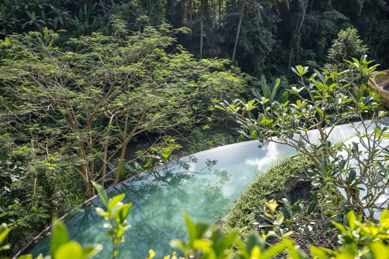 An infinity pool with its edge dropping away towards jungle and rice terraces.