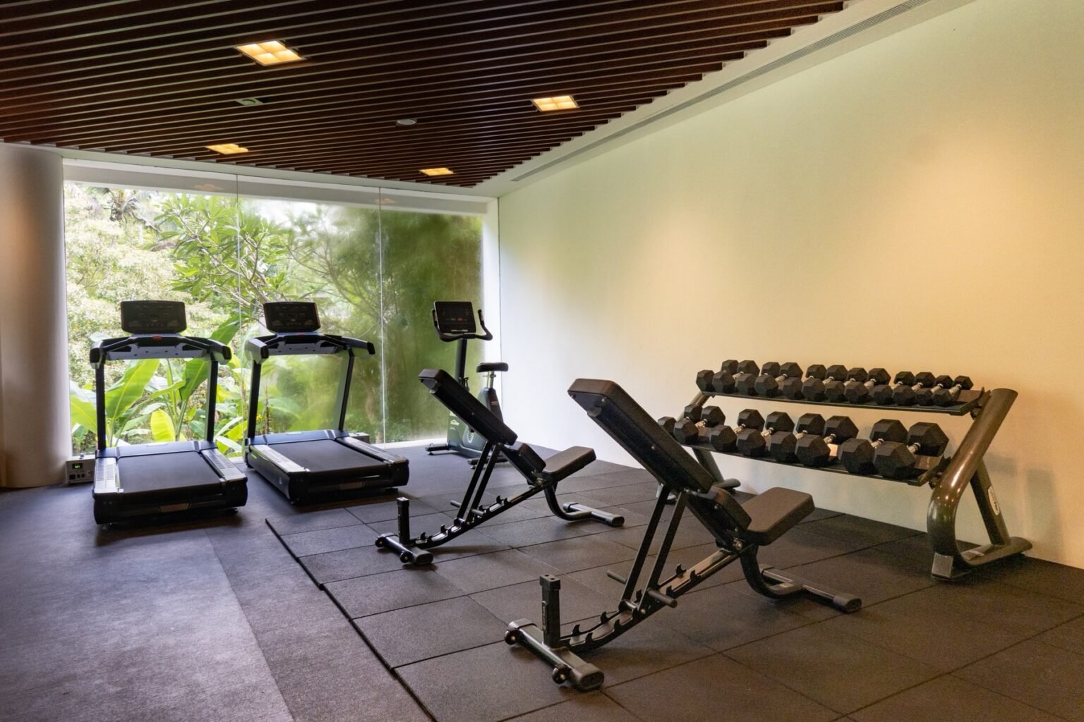 A gym with cardio machines and weights facing a window onto greenery.