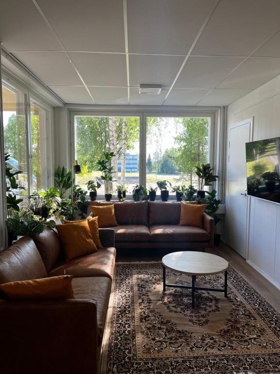 The shared lounge at the boutique hotel in Kemijarvi, with sofas and plants at the windows