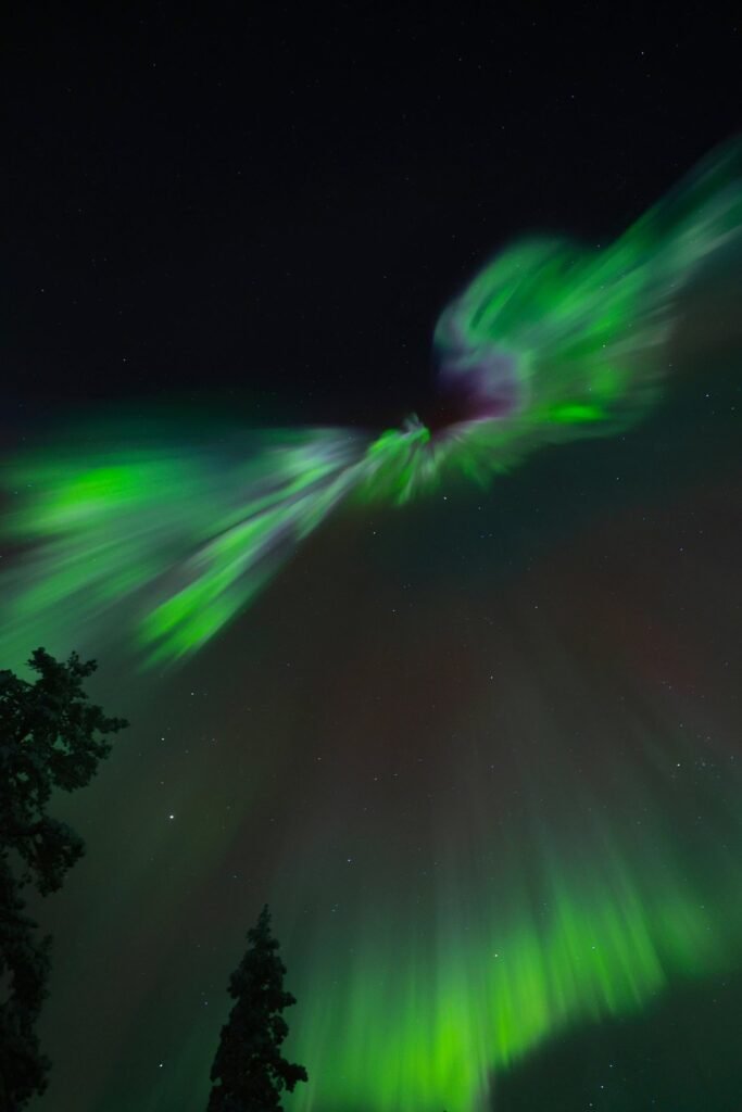 The northern lights over snow-covered forest in Lapland