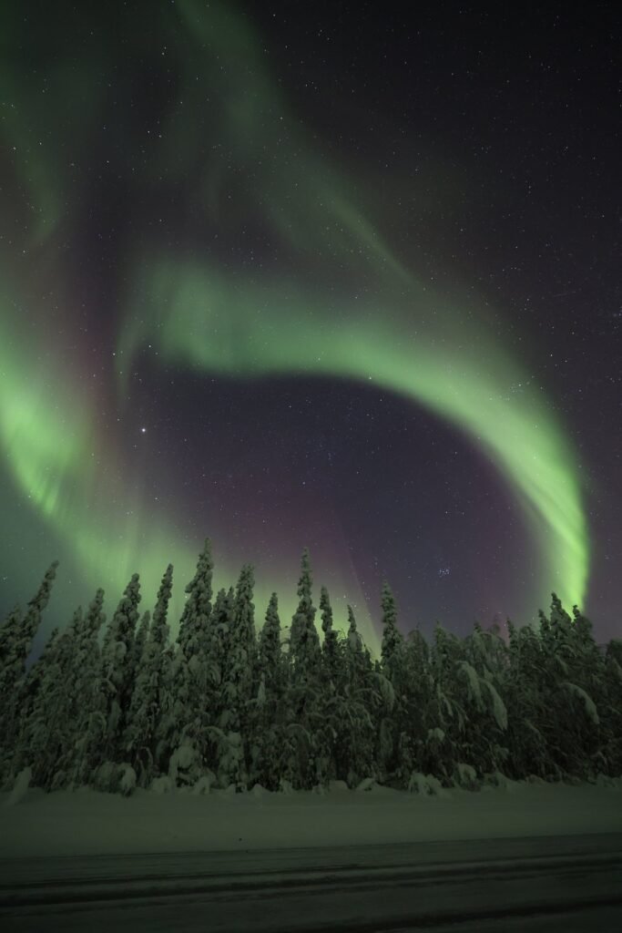 The northern lights over snow-covered forest in Lapland