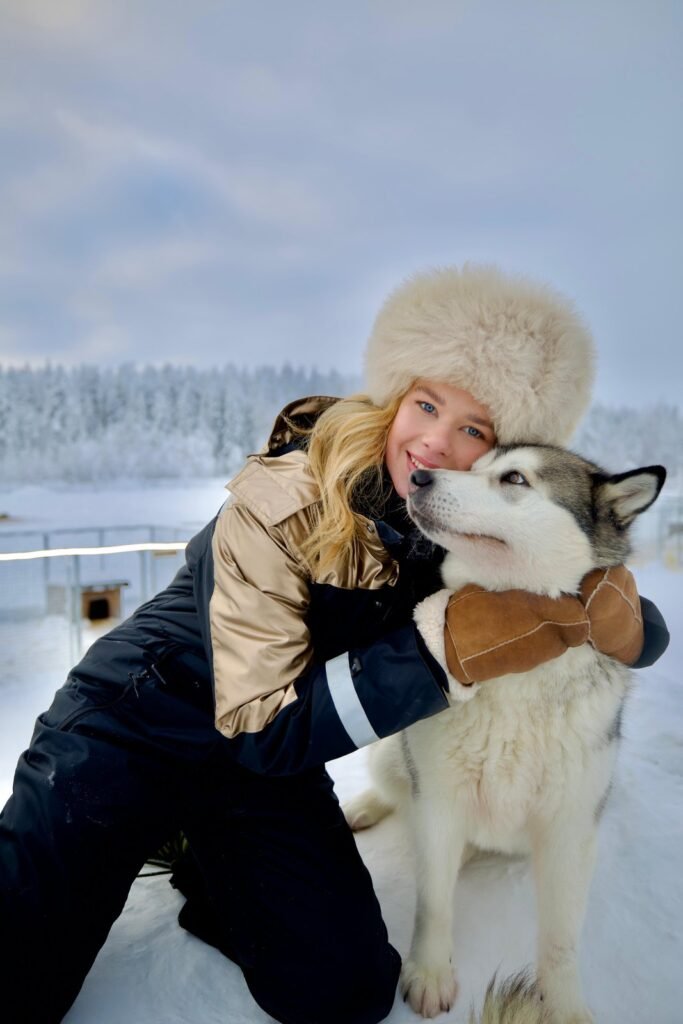 Huskies in the snow in Lapland