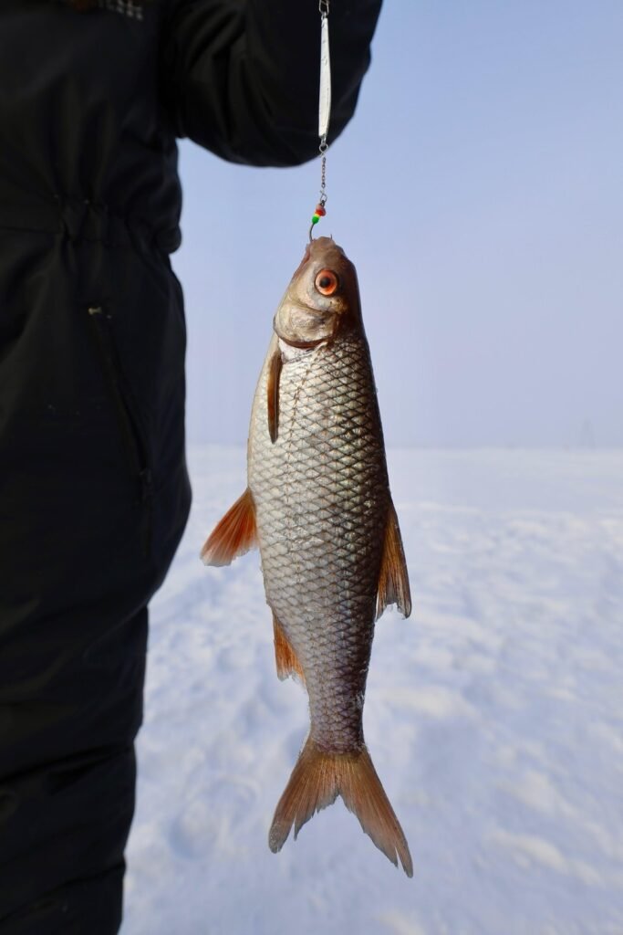 Ice fishing on a frozen lake in Lapland