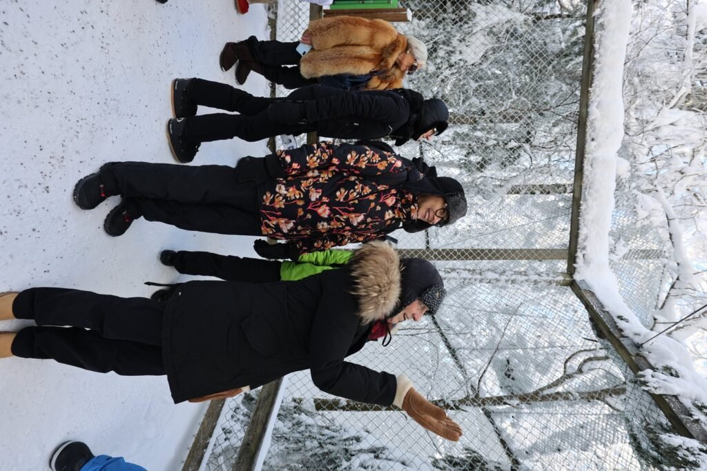 Winter at Ranua Wildlife Park