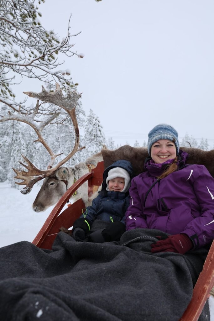Reindeer in the snow in Lapland
